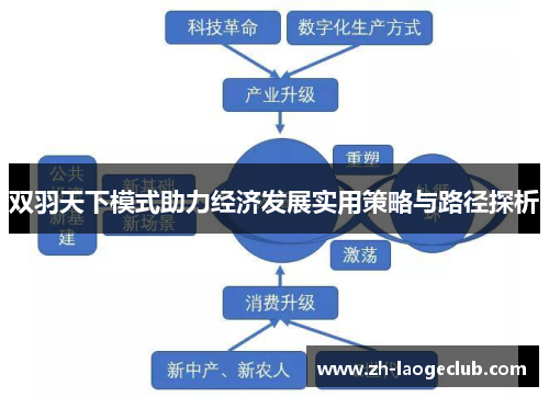 双羽天下模式助力经济发展实用策略与路径探析