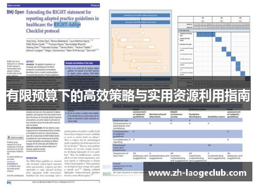 有限预算下的高效策略与实用资源利用指南