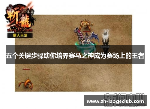 五个关键步骤助你培养赛马之神成为赛场上的王者