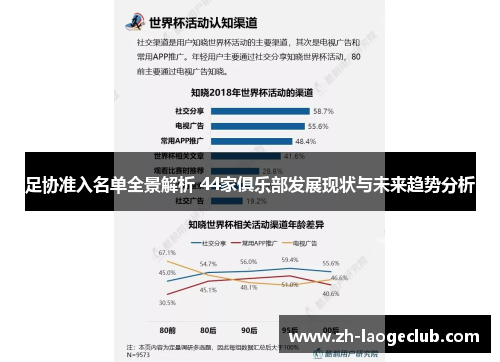 足协准入名单全景解析 44家俱乐部发展现状与未来趋势分析 足协准入名单全景解析 44家俱乐部发展现状与未来趋势分析