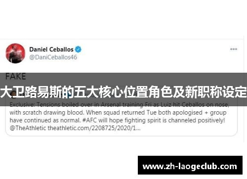 大卫路易斯的五大核心位置角色及新职称设定 大卫路易斯的五大核心位置角色及新职称设定