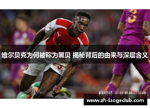 维尔贝克为何被称为黑贝 揭秘背后的由来与深层含义 维尔贝克为何被称为黑贝 揭秘背后的由来与深层含义