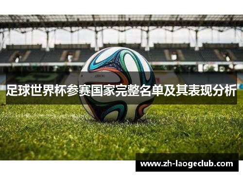足球世界杯参赛国家完整名单及其表现分析