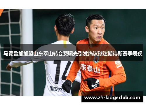 马德鲁加加盟山东泰山转会费曝光引发热议球迷期待新赛季表现